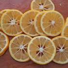 爽やか～な自家製レモンシロップでレモンスカッシュ＆園芸やさんの創業祭