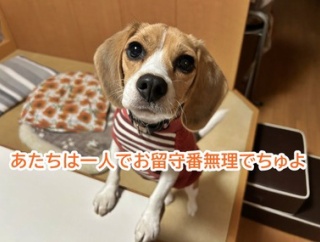 急に日常に戻る