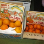 北海道　稚内のライダーハウスみどり湯のブログ