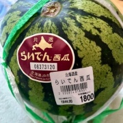 今年初のスイカと「やったことリスト」のおすすめ