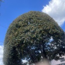「私が悪いの？」と落ち込んでいる方へ