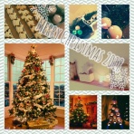 田舎ものだより