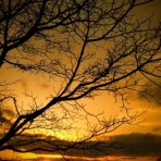 ＝佐藤太の監督雑記＝