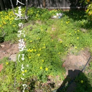 何度も間違いを繰り返す