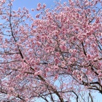 山遊び、川遊び−２