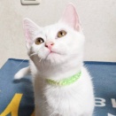 生後３ヶ月　はるま　募集中