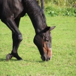 『寒気』の画像
