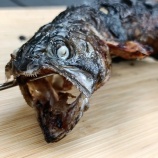 『石川県でイワナ釣り&キャンプ』の画像