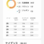 城東ドンキーズ No.22      【JD No.22】