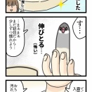 怖いと伸びるトッリ