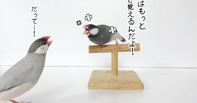 勢いよくフレームインしてきた