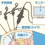海彦・山彦の白秋日記