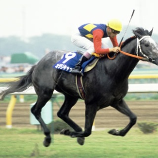 ☆うまなみ・競馬にゅーす速報