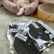 カーテンを洗おうとすると猫がついてくる！？