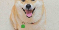 中学生に話しながら、私が気づいたこと