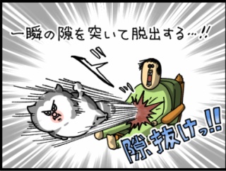 うちの猫の必殺技3選