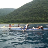 ��8��4�������Х��̡��ĥ����٤β���