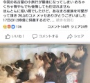 【Uo･ｪ･oU】犬を高温の車内に４時間放置、ぐったりした様子を見て買い物客が１１０番…飼い主の男（５１）を書類送検　岐阜