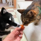     新・食いしん坊コンビ、誕生しました！