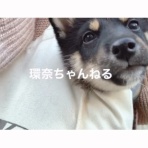 けやきとひなた
