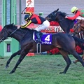 有馬記念で皐月賞馬ミュージアムマイルが古馬を撃破！C・デムーロが絶好枠で魅せる！