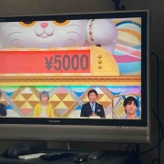 �������Ϥʤ�Ǥ������