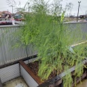 ��ǡ���֤Ǥ�ä��褿�����ϥġ����������� ���ƾ�뵡�����ޤ�ޤ���(^_^)