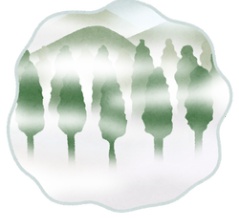 春なのに．．．