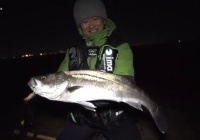 シーバス 磯で狙うマルスズキ 12月の冬の釣り場でもテンションの高い辺見哲也の見事な釣行記録 海辺の狩人