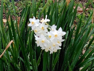 私の子ども時代は、まだまだ戦後