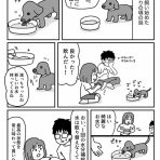 ともだちに忍者が多い人のブログ