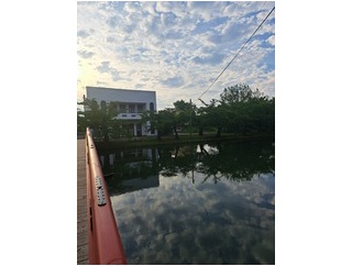 夕さんぽ弘前公園、水族館カフェ