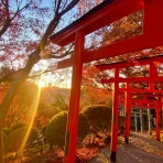 女流尺八奏者・金子朋沐枝のうらうら活動日記♪