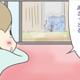 『田舎の戦士ネコのその後②』の画像