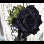 パチ〇ロ、ヤ〇セ極秘ブロ。基本中心活動アメーバブログ→ローズ(MJ5)約1.3万人。。。10/25ホル〇ン写真入手(入手難易度C)