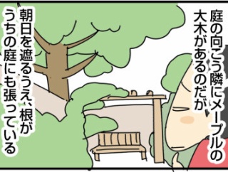 狭い庭に植えてはいけない植物