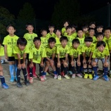 『シザースが苦手』の画像