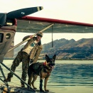 退役軍人と愛犬の“絆”を描く感動ドラマブラッド・ピット主演映画『ハート・オブ・ビースト』