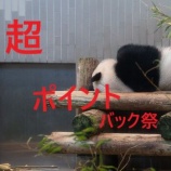 『超ポイントバック祭【1月1日～3日】エントリー＆クーポンまとめ』の画像