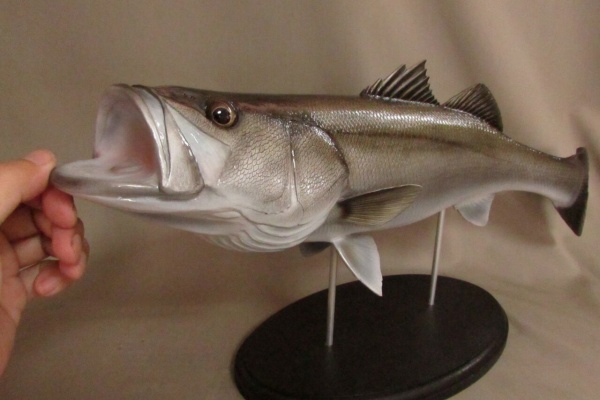 【美品】48cm ダトニオ（樹脂製）fish craft REAL製作 美品】48cm ダトニオ（樹脂製）fish craft REAL製作