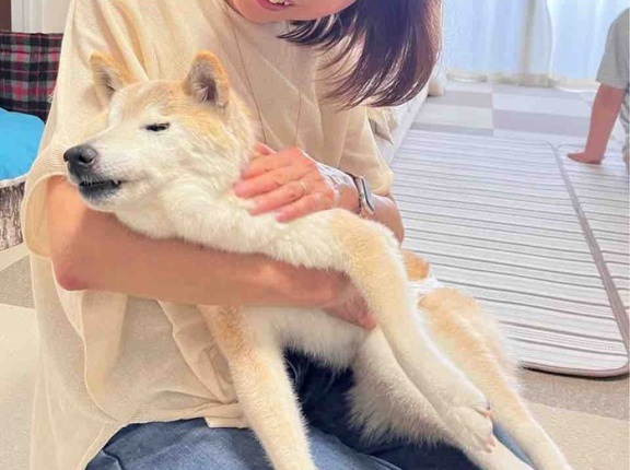 りんごちゃんの笑顔に会いに