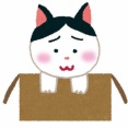 警戒心の強い白黒猫を徐々に慣らして飼おうとしていたらある日人懐っこいグレー猫と一緒に庭にやってきた