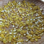 有機無農薬栽培茶　国友農園