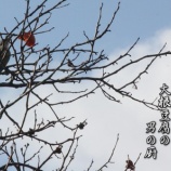 『ポツンと一軒家とイーロン・マスクの予言』の画像