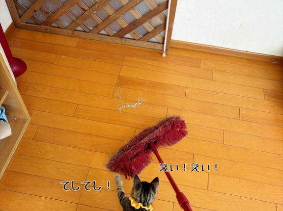ちょっとアレでもゲンキガイチバン。