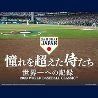 野球の記録で話したい