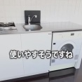 【画像】東京賃貸物件さん、キッチンと洗濯機を合体させてしまうｗｗｗｗ