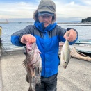 ２０２６年２月２７日（金）（若潮）