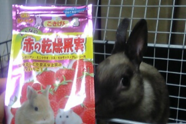 ぐれうさぎ日記 06年07月