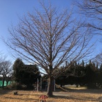 三重県よろずや